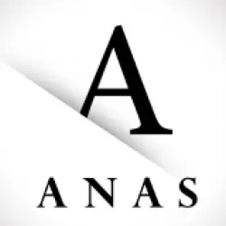 anasandco